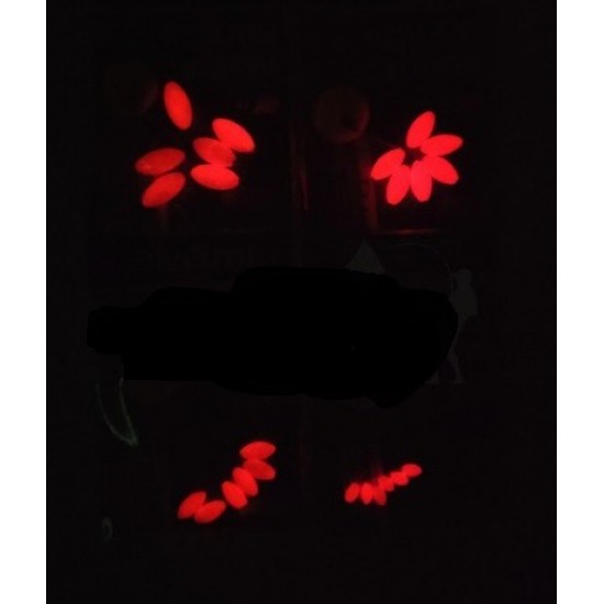 Blister Float Oval Akami Smelly Talla 00 Red Luminous