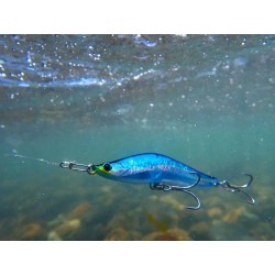 Blazeye Revorook 99HS Color 70