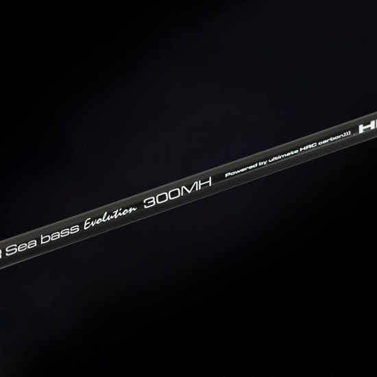 Caña Cinnetic Sky Line Sea Bass Evolution 300 MH Spinning