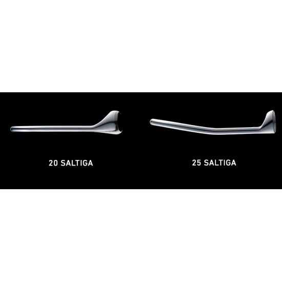 Carrete Daiwa Saltiga 25 8000-H Spinning