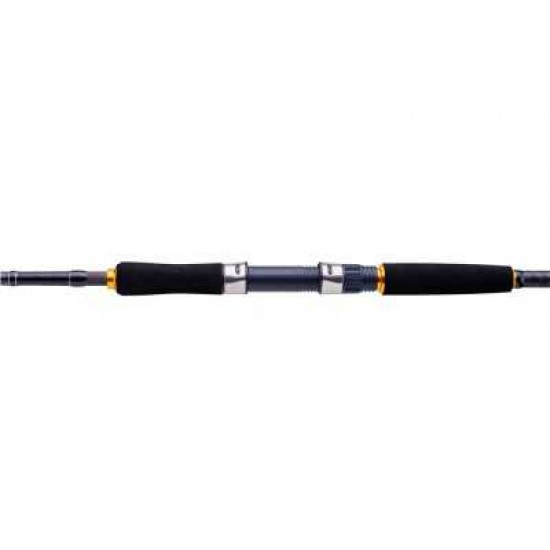 Caña Daiwa Legalis Seabass 902HMHFS AF Spinning