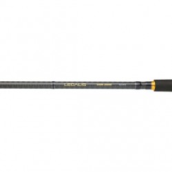 Caña Daiwa Legalis Shore Jigging 962 XHFS 2025