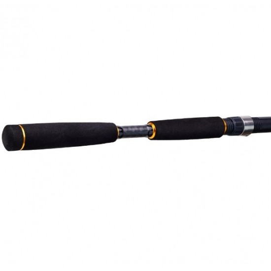 Caña Daiwa Legalis Seabass 902HFS AF Spinning