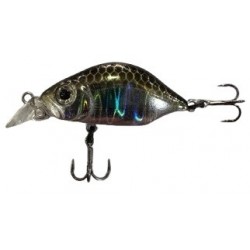 Detour Quasimodo 33S BO-020 Mullet