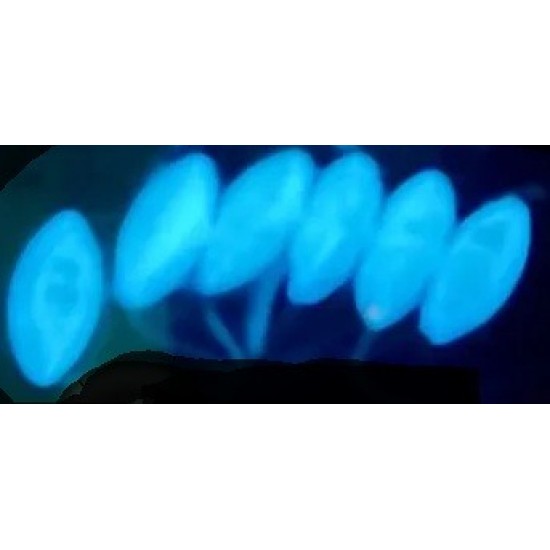Flotantes Ovaladas Color Azul Fluo Talla 0 Accesorios para Montajes