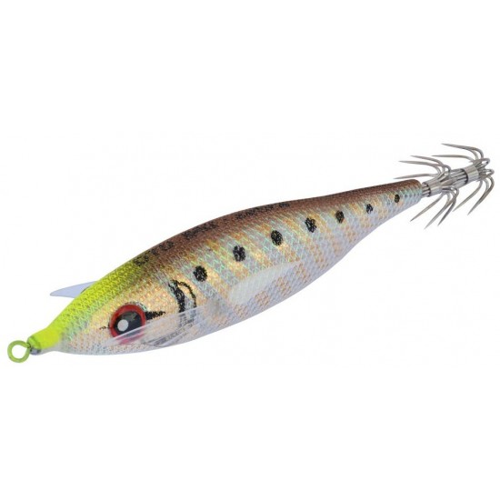 DTD Zebra 1.5 Brown Jibioneras DTD