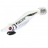 DTD Ballistic Full Color Egi 3.5 Color White