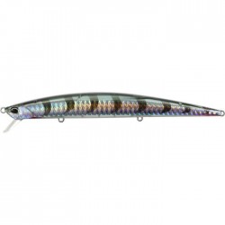 Duo Tide Minnow Slim 175 Color GHN0331