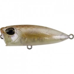 Duo Tetra Works Pocopoco Color CCC0295