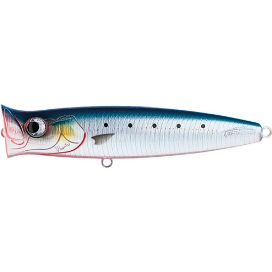 Fishus By Lurenzo Ubuntu Color BS Hot Belly Sardine