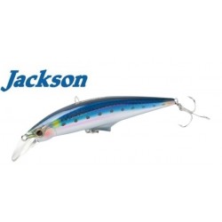 Jackson G-Control 20 Color LIW