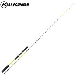 Caña Kali Kunnan Durga 