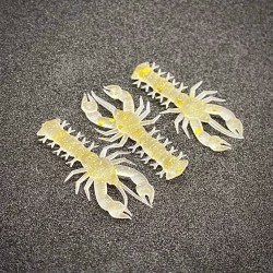 Lunker La Galerita Color Drudis Gold