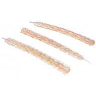 Lunker Laiyoworm Color Flesh