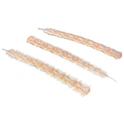 Lunker Laiyoworm Color Flesh