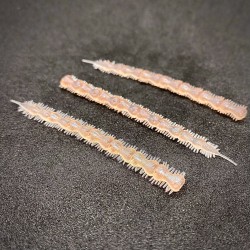 Lunker Laiyoworm Color Flesh