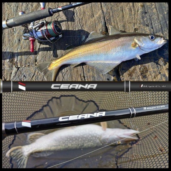 Caña Major Craft Ceana CNS-752M/F