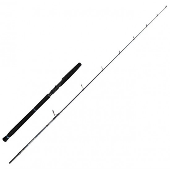 Caña Savage Gear Defiance SG2 Jigging  Embarcacion / Slow Jigging