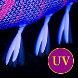 Duel ez-Q® Dartmaster SS Color KPGP