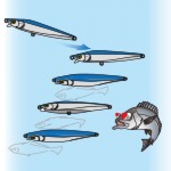 Duel Heavy Shot-S Color PCL Spinning