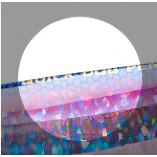 Duel L-Blue Quick Dog Pencil Color HRI Spinning