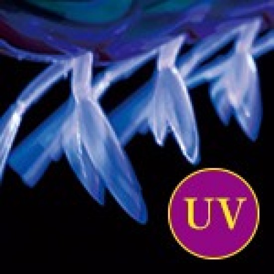 Duel ez-Q® MAGNET TG Color TM Jibioneras Yo-Zuri / Duel